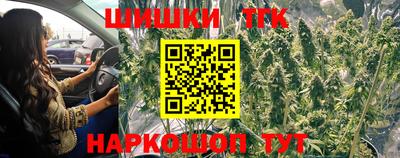 тгк Лесосибирск